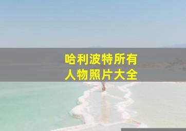 哈利波特所有人物照片大全