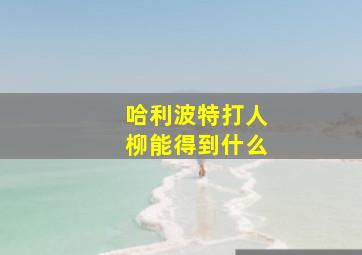 哈利波特打人柳能得到什么