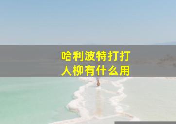 哈利波特打打人柳有什么用