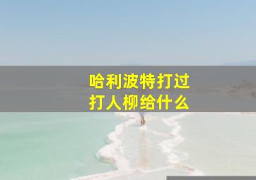 哈利波特打过打人柳给什么