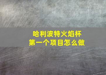 哈利波特火焰杯第一个项目怎么做