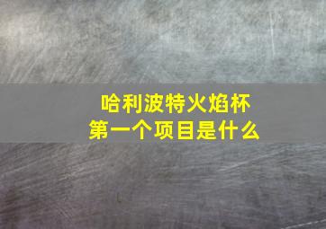 哈利波特火焰杯第一个项目是什么