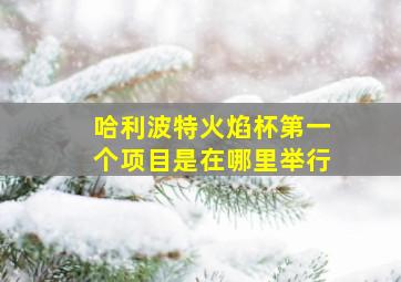 哈利波特火焰杯第一个项目是在哪里举行