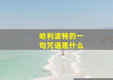 哈利波特的一句咒语是什么