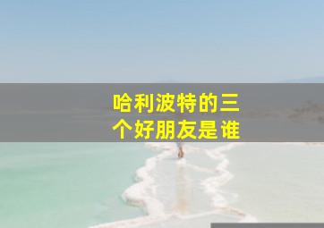 哈利波特的三个好朋友是谁