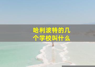 哈利波特的几个学校叫什么