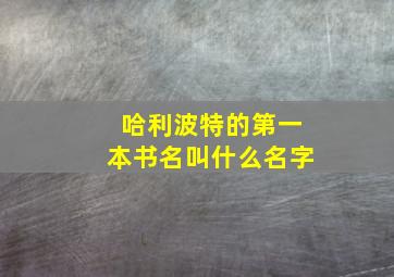 哈利波特的第一本书名叫什么名字