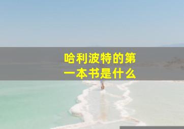 哈利波特的第一本书是什么