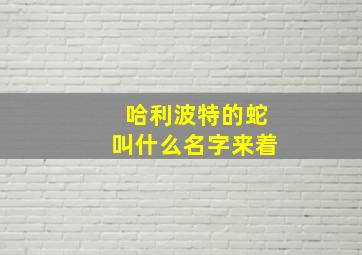 哈利波特的蛇叫什么名字来着