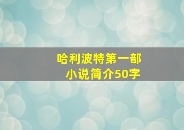 哈利波特第一部小说简介50字