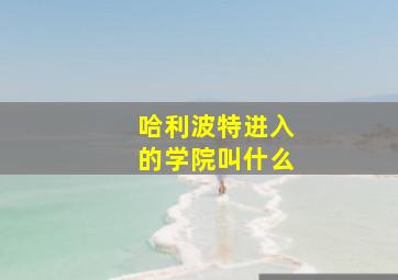 哈利波特进入的学院叫什么