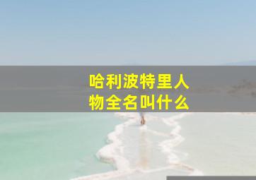 哈利波特里人物全名叫什么