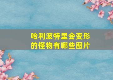 哈利波特里会变形的怪物有哪些图片