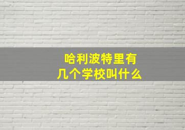 哈利波特里有几个学校叫什么