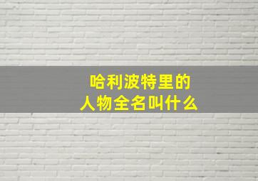 哈利波特里的人物全名叫什么