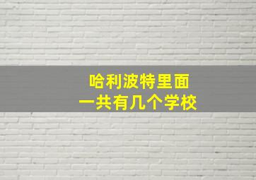 哈利波特里面一共有几个学校