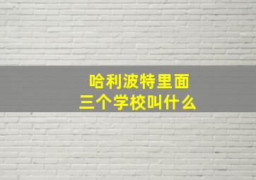 哈利波特里面三个学校叫什么