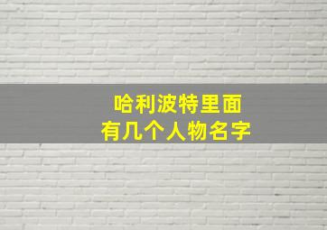 哈利波特里面有几个人物名字