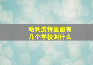 哈利波特里面有几个学校叫什么