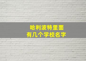 哈利波特里面有几个学校名字