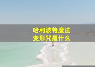 哈利波特魔法变形咒是什么