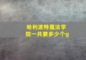 哈利波特魔法学院一共要多少个g