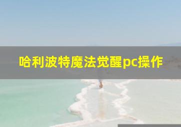 哈利波特魔法觉醒pc操作