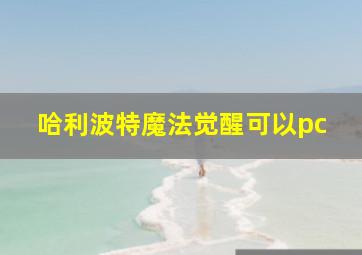 哈利波特魔法觉醒可以pc