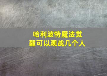 哈利波特魔法觉醒可以观战几个人