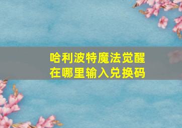 哈利波特魔法觉醒在哪里输入兑换码