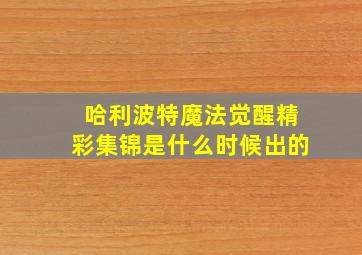 哈利波特魔法觉醒精彩集锦是什么时候出的