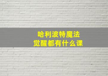 哈利波特魔法觉醒都有什么课