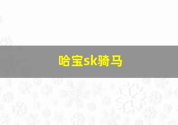 哈宝sk骑马