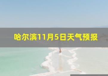 哈尔滨11月5日天气预报