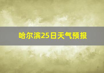 哈尔滨25日天气预报