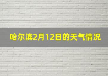 哈尔滨2月12日的天气情况