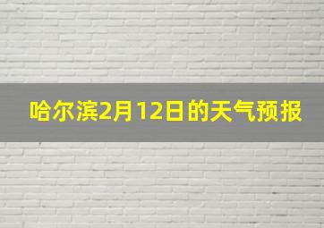 哈尔滨2月12日的天气预报