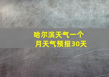 哈尔滨天气一个月天气预报30天