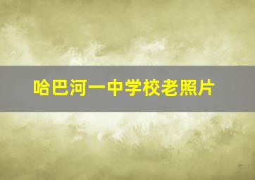 哈巴河一中学校老照片