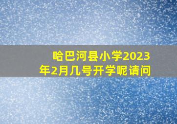 哈巴河县小学2023年2月几号开学呢请问