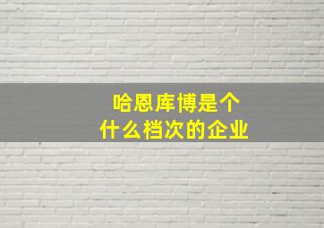 哈恩库博是个什么档次的企业