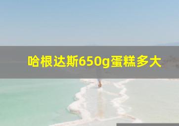 哈根达斯650g蛋糕多大