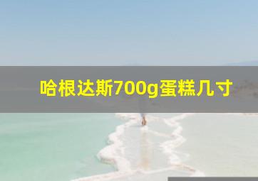 哈根达斯700g蛋糕几寸