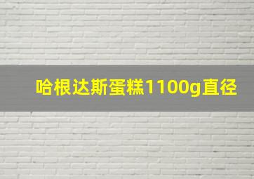 哈根达斯蛋糕1100g直径