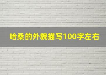 哈桑的外貌描写100字左右