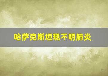 哈萨克斯坦现不明肺炎