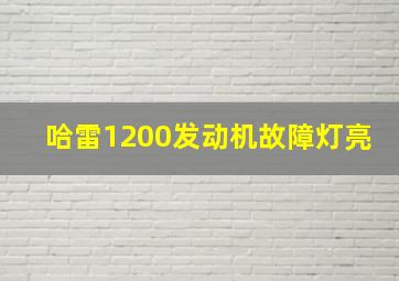 哈雷1200发动机故障灯亮