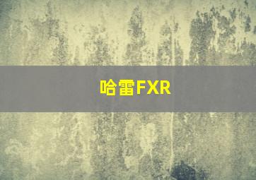 哈雷FXR