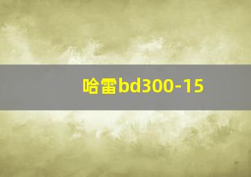 哈雷bd300-15