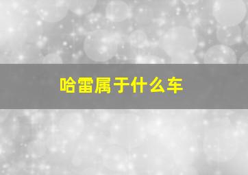 哈雷属于什么车